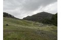 Additional image 12 of 53700 Iron Creek Rd, Laytonville, CA, 95454