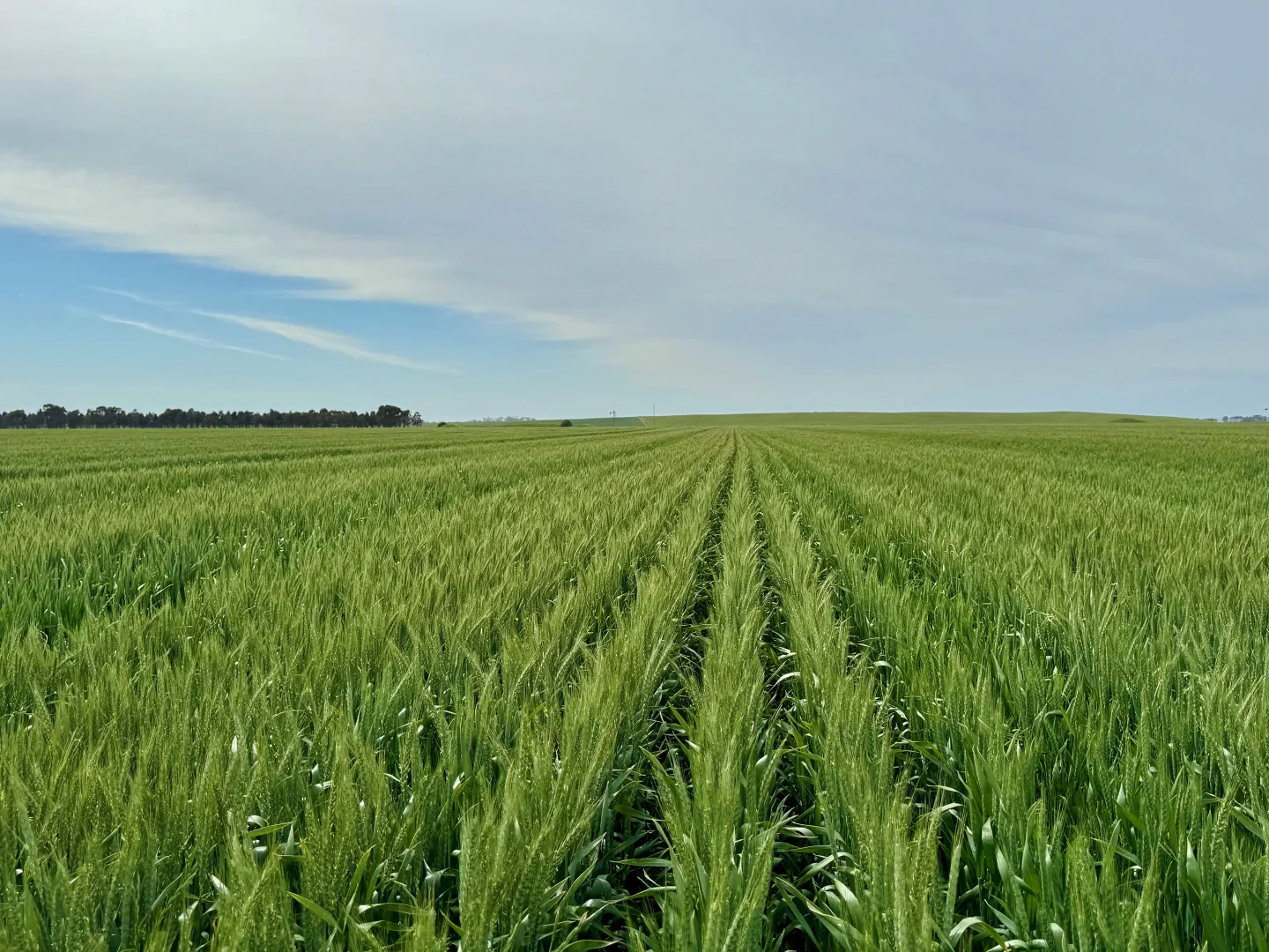 Additional image 13 of 1205 Lower Darlington Road, Lismore VIC 3324