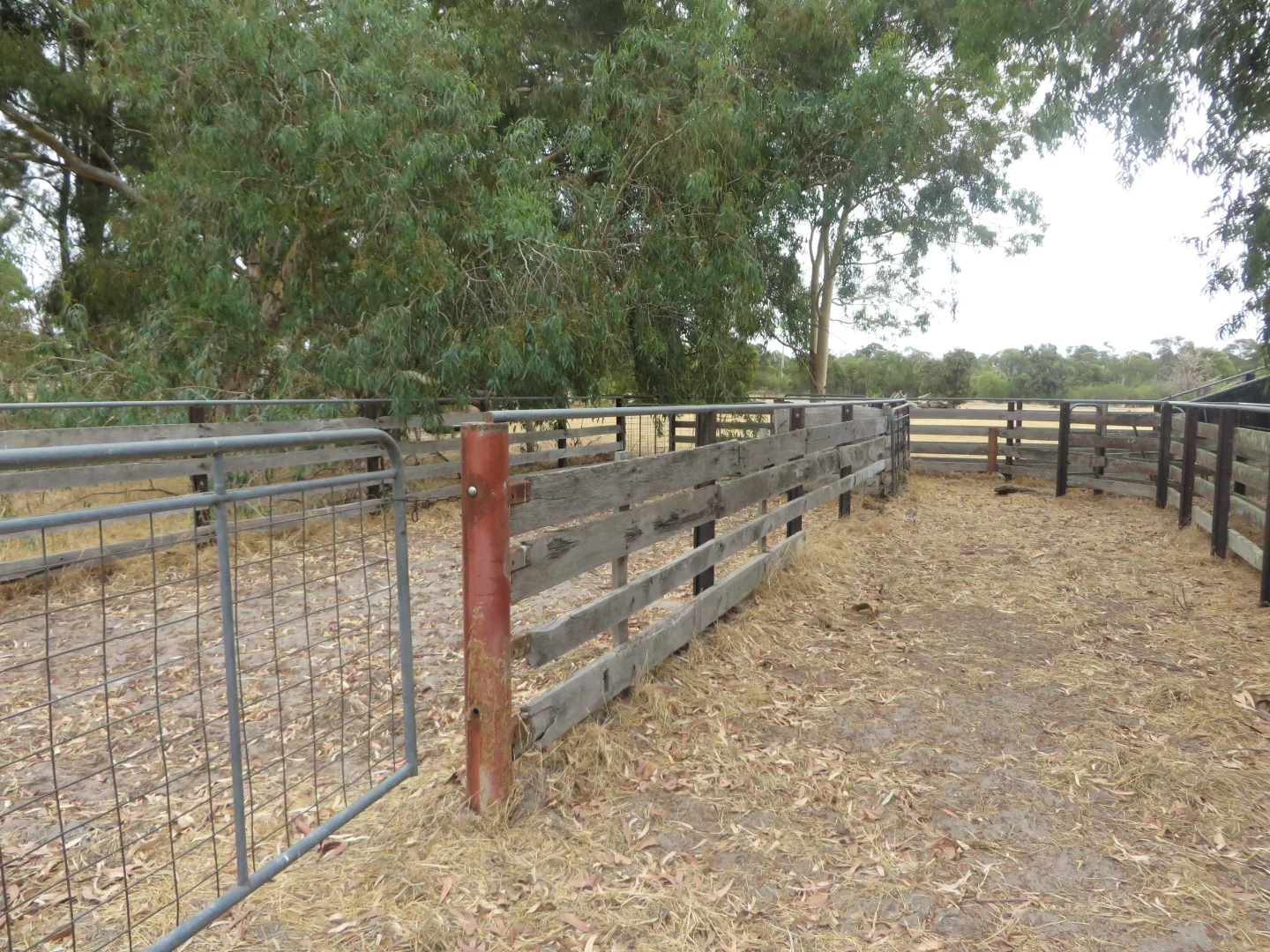Additional image 11 of Buller Road, Waroona WA 6215