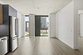 Additional image 3 of 234 W Polk St Unit 1-1, Chicago, IL, 60607