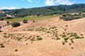 Additional image 15 of 25845 Dutcher Creek Rd, Cloverdale, CA, 95425