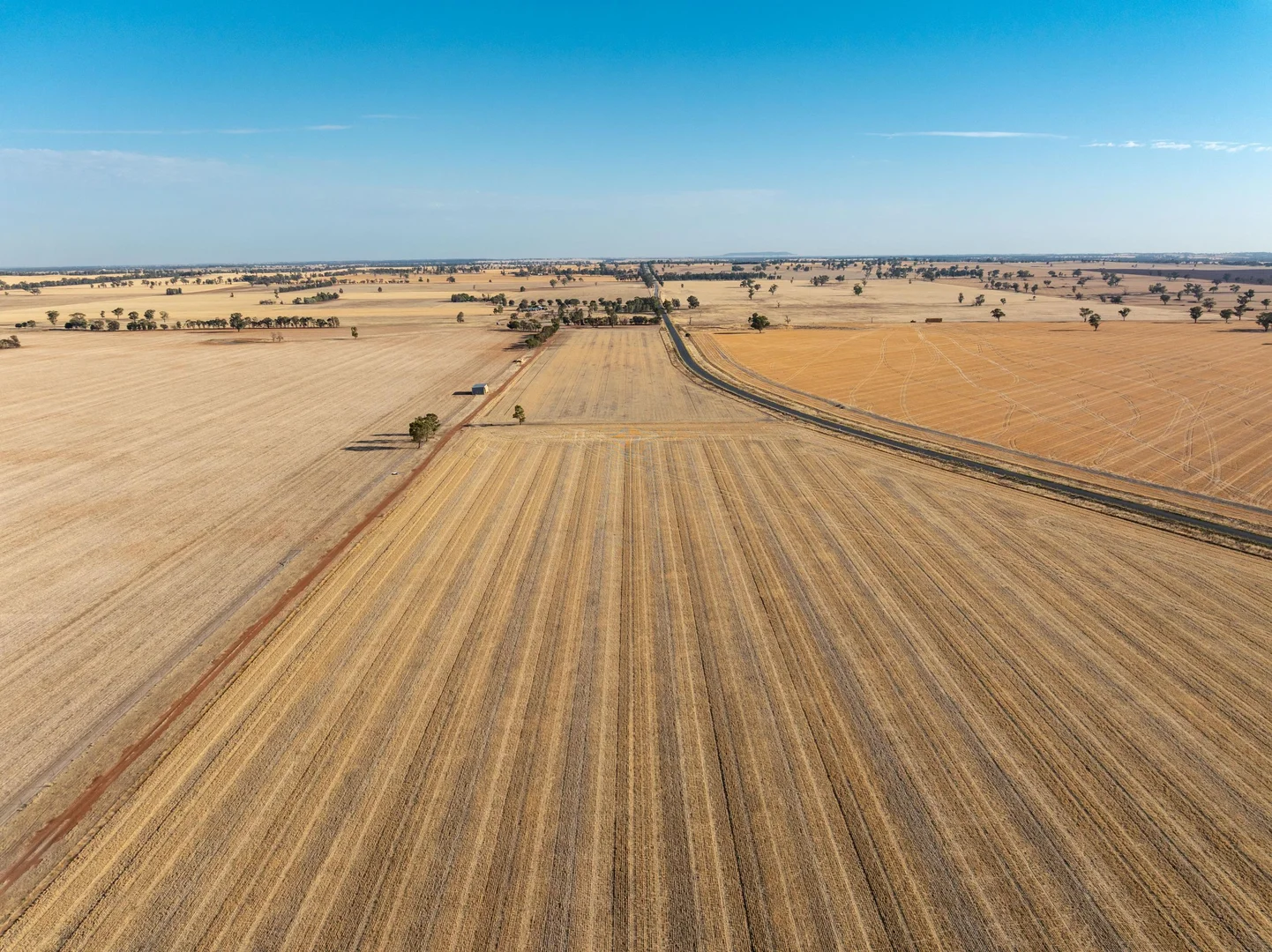 Additional image 20 of 3391 Albury Road, Lockhart NSW 2656