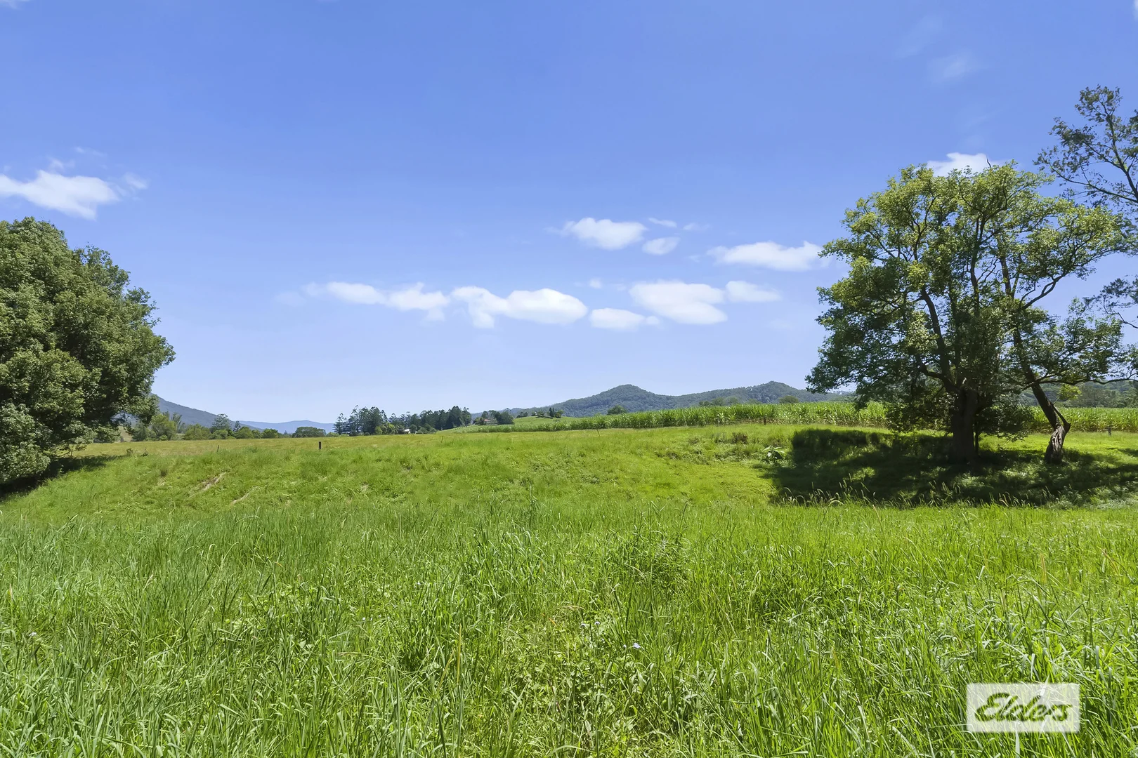 Additional image 34 of 225 Tyalgum Road, Eungella NSW 2484