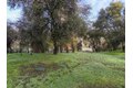 Additional image 14 of 10988 Pleasant Valley Rd, Penn Valley, CA, 95946