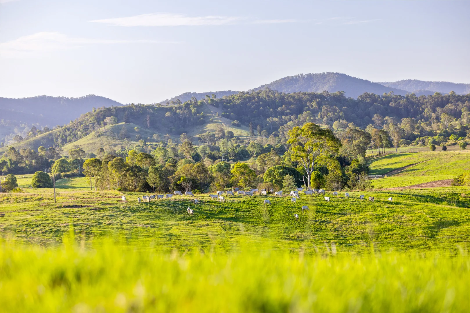Additional image 28 of 1890 Maleny - Kenilworth Road, Conondale QLD 4552