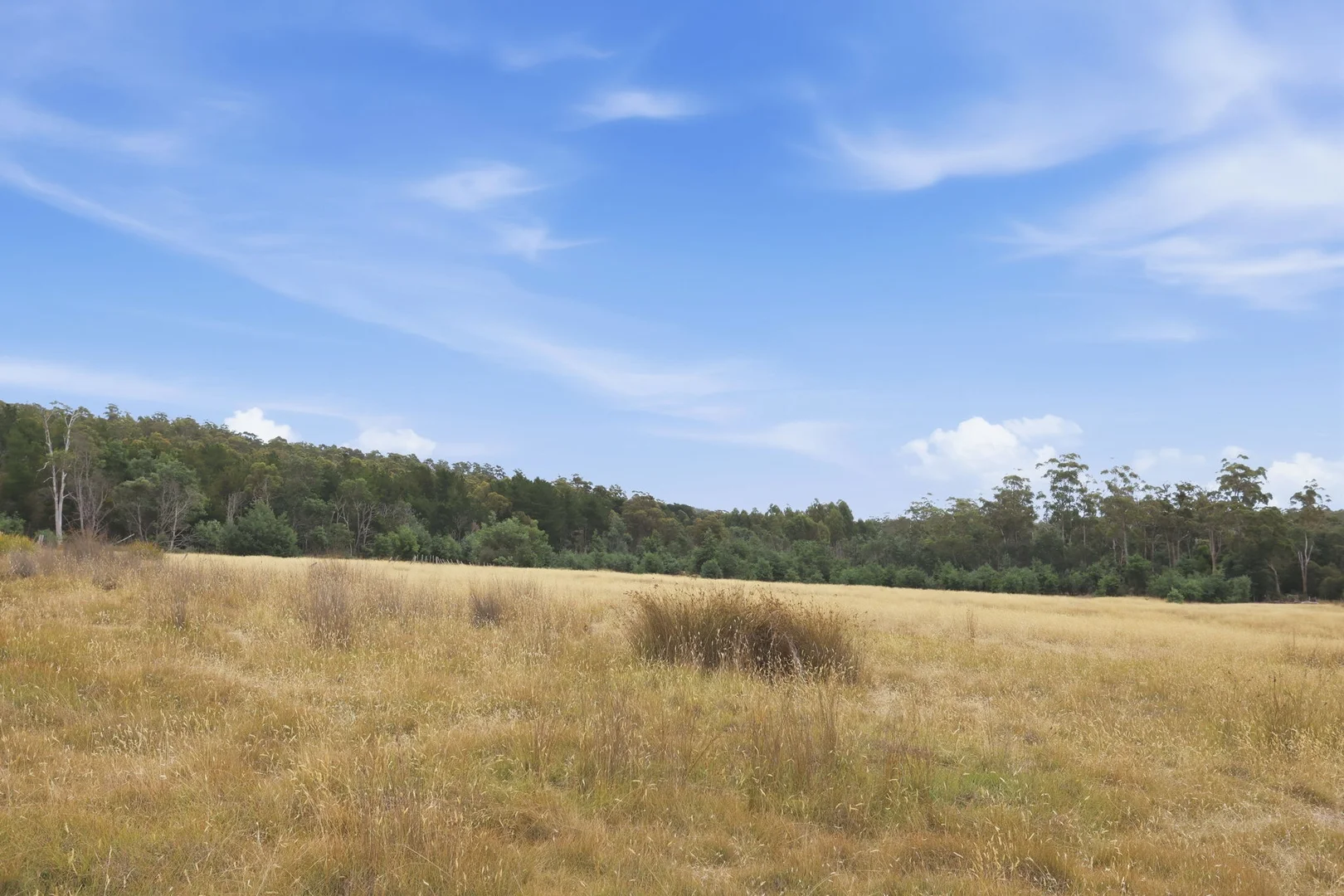 Additional image 9 of 3615 West Tamar Highway, Sidmouth TAS 7270