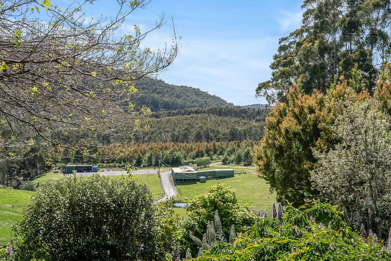 Additional image 18 of 98 Settlement Road, Flowery Gully TAS 7270