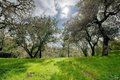 Additional image 43 of 2511 Laguna Vista Dr, Novato, CA, 94945