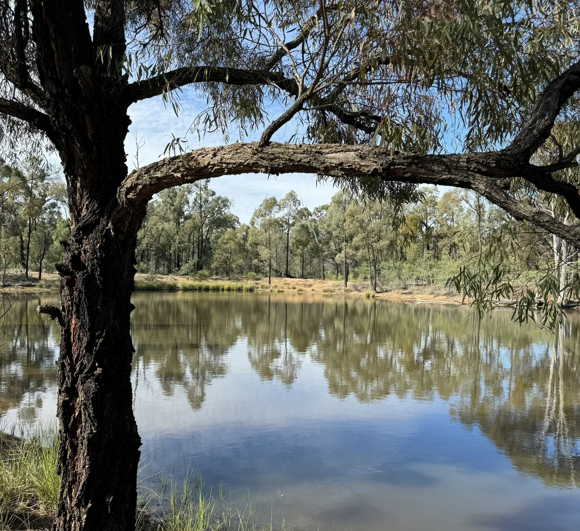 Additional image 2 of 3L Wandarra Road, Brocklehurst NSW 2830