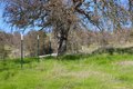 Additional image 39 of 40461 Long Hollow Dr, Coarsegold, CA, 93614
