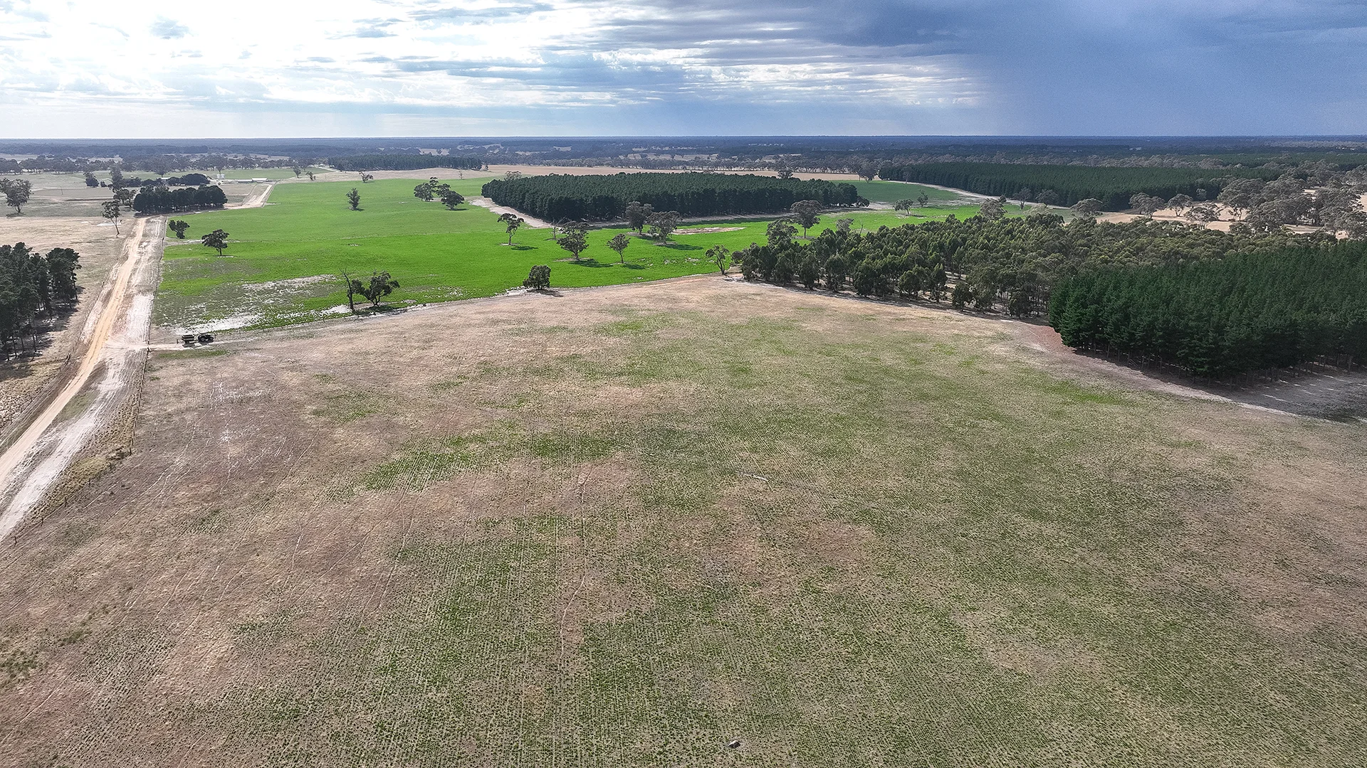 Additional image 48 of 2885 Frances Road, Bordertown SA 5268