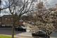 Additional image 6 of Harrisons Place, Castle, Northwich