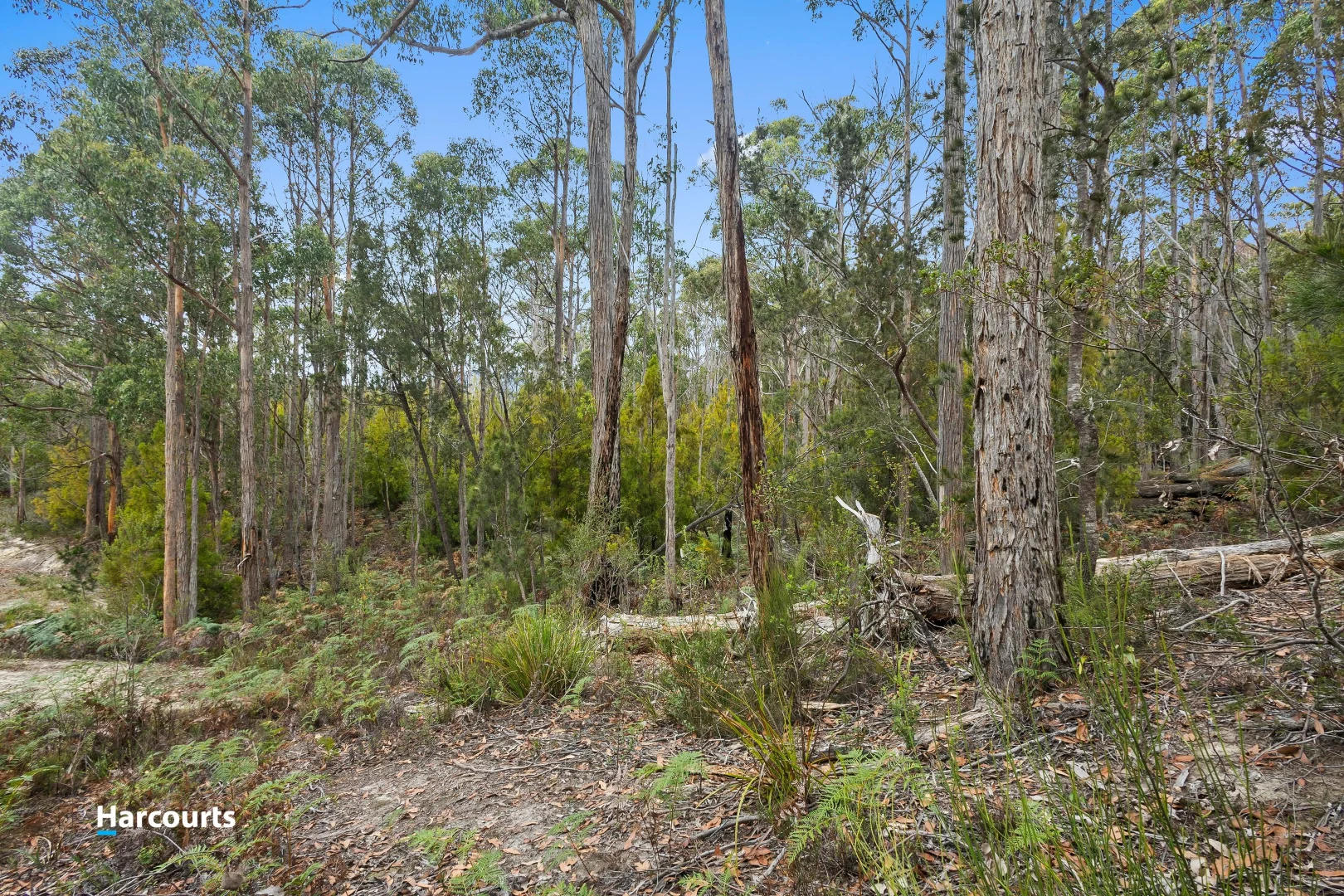 Additional image 10 of Lot 15 Abels Bay Road, Abels Bay TAS 7112