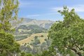 Additional image 46 of 290 Stuyvesant Dr, San Anselmo, CA, 94960