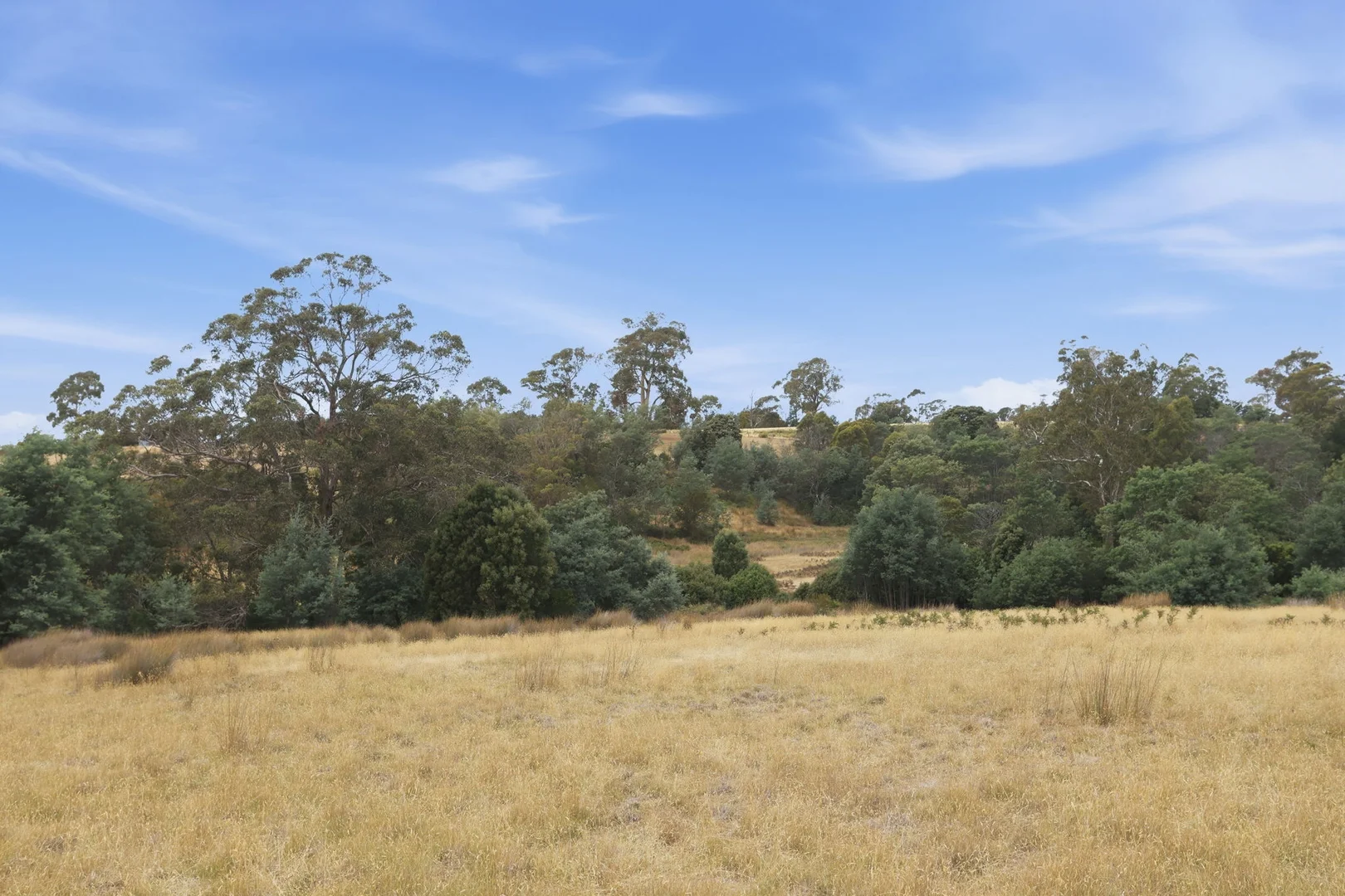 Additional image 11 of 3615 West Tamar Highway, Sidmouth TAS 7270