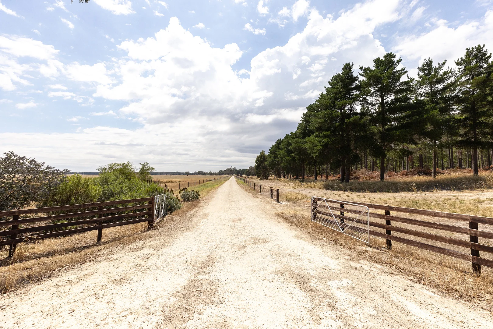 Additional image 50 of 2885 Frances Road, Bordertown SA 5268