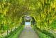 Additional image 21 of Church Road, Tormarton, GL9