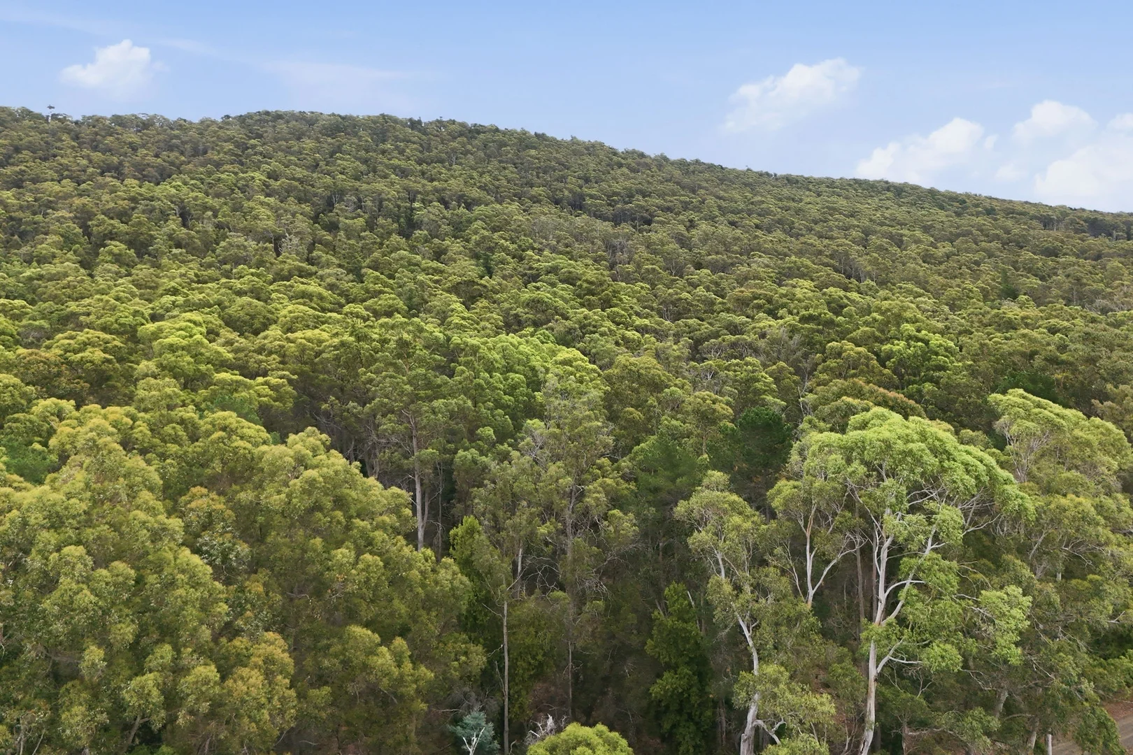 Additional image 6 of 3615 West Tamar Highway, Sidmouth TAS 7270