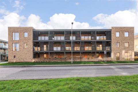 Austin Drive, Trumpington, Cambridge CB2