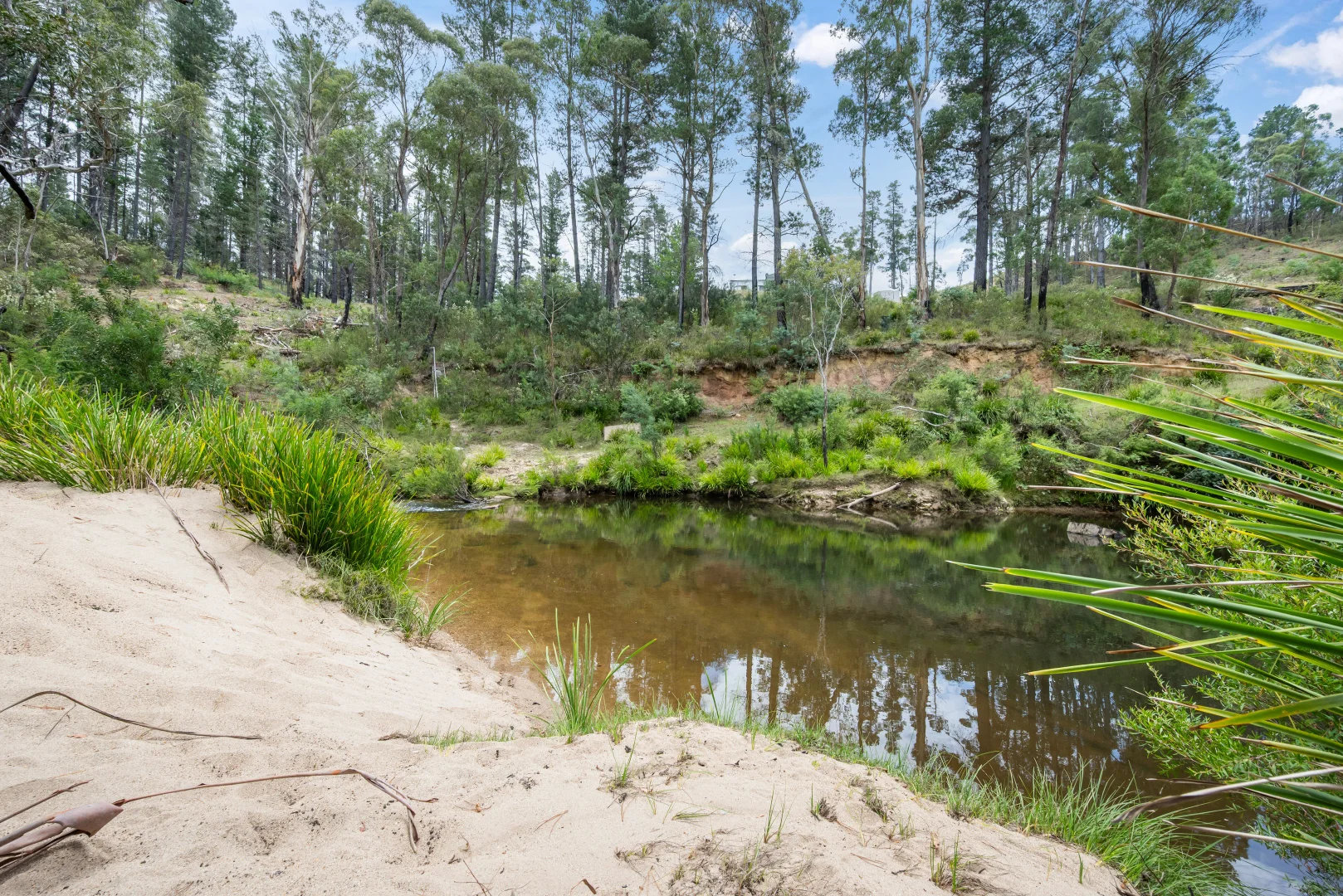 Additional image 11 of 7288 Nerriga Road, Braidwood NSW 2622