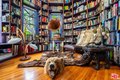 Additional image 7 of 8066 Woodland Ln, Los Angeles, CA, 90046