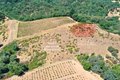 Additional image 10 of 25845 Dutcher Creek Rd, Cloverdale, CA, 95425