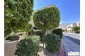 Additional image 6 of 882 Village Sq N, Palm Springs, CA, 92262