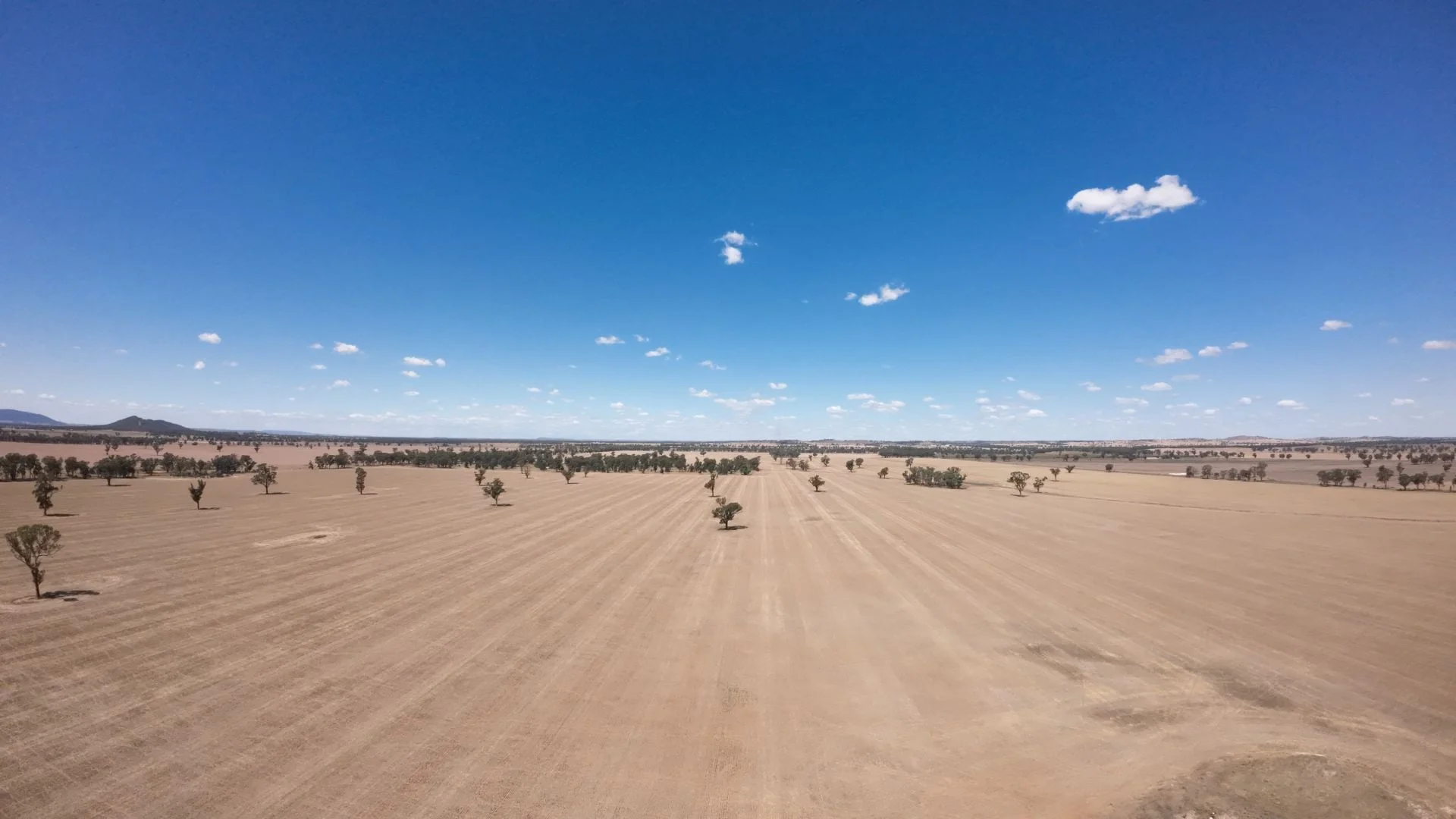 Additional image 8 of 159 Noakes Road, Bribbaree NSW 2594