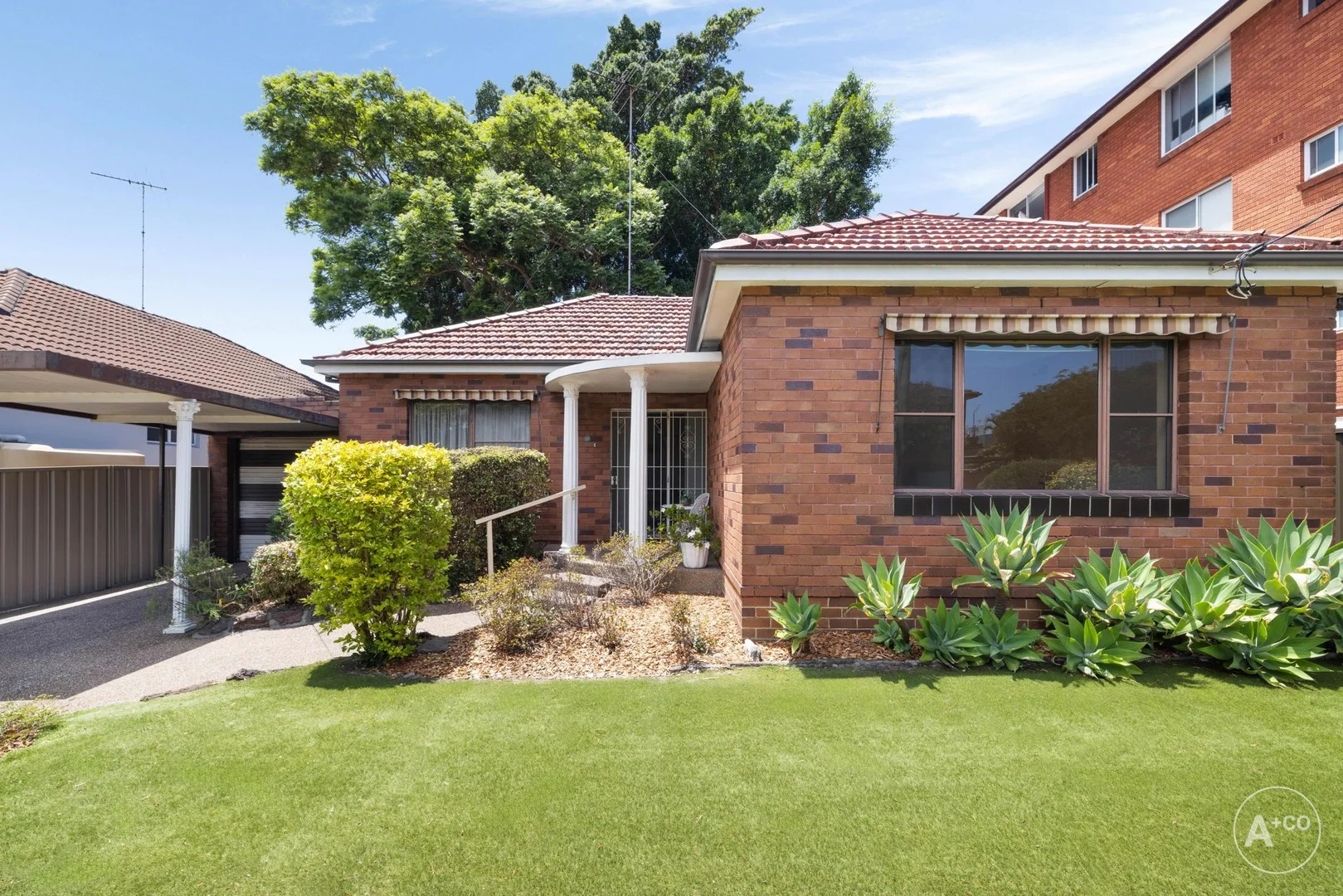 82 Rhodes Street, Eastgardens NSW 2036
