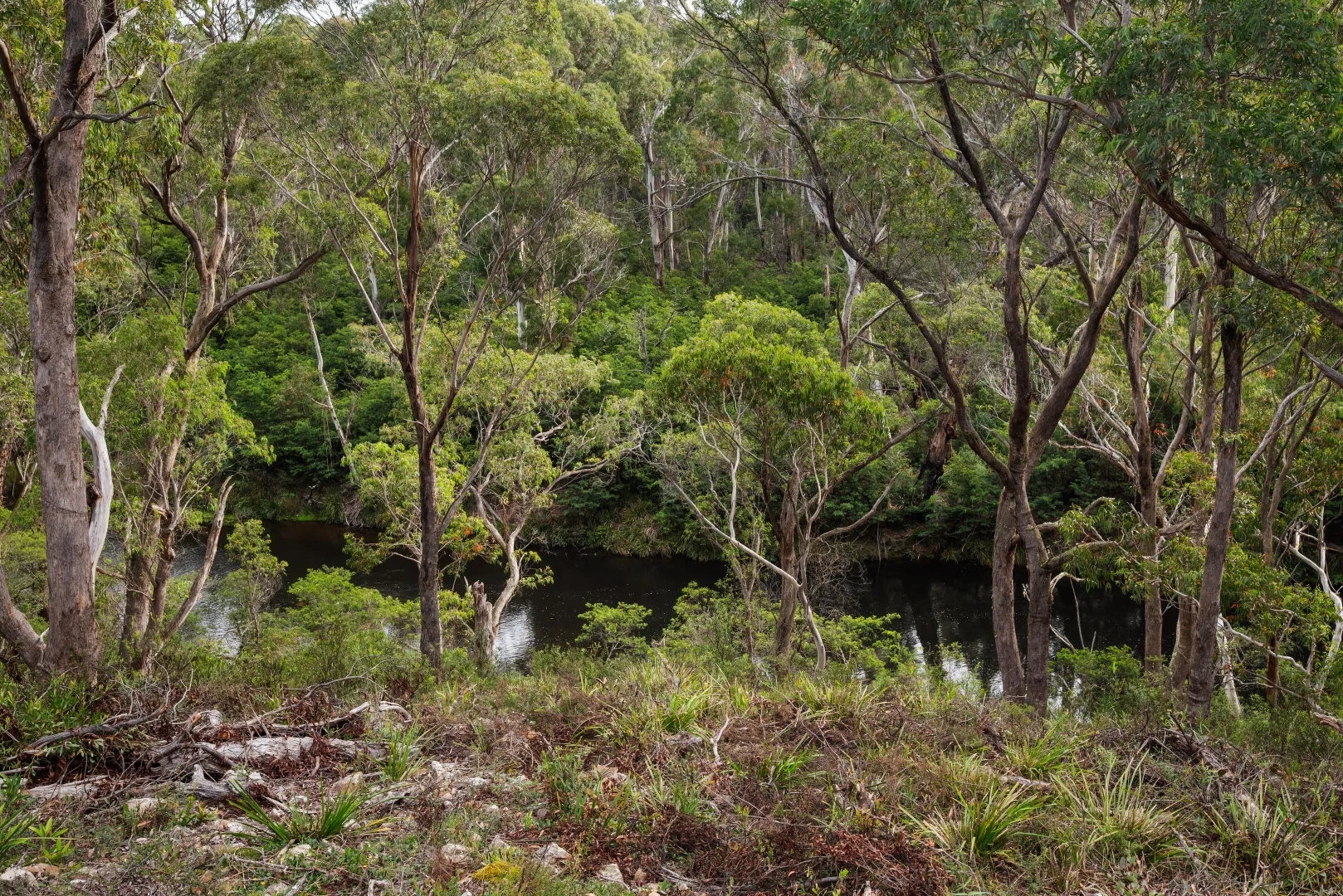 Additional image 40 of 497 Northangera Road, Braidwood NSW 2622