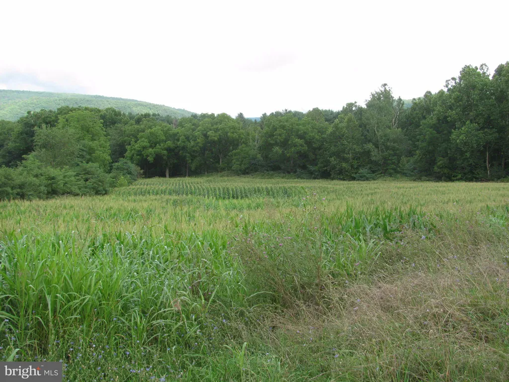 Route 259 Highway, Mathias, WV 26812