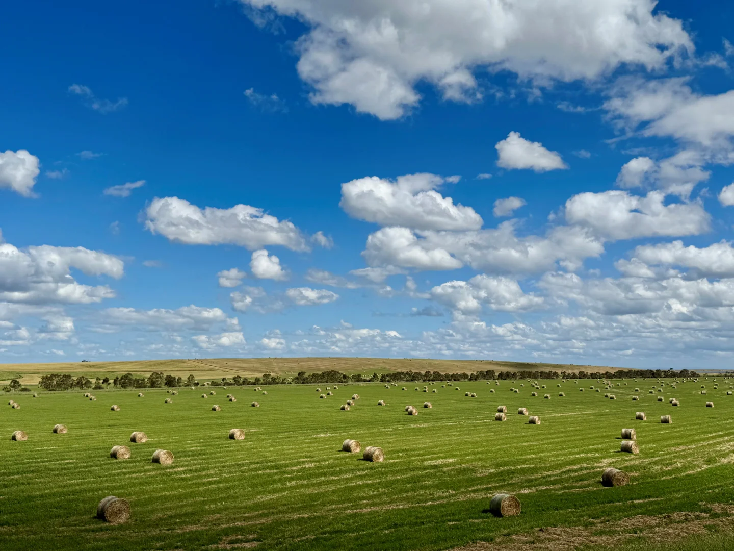 Additional image 7 of 1205 Lower Darlington Road, Lismore VIC 3324