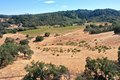 Additional image 47 of 25845 Dutcher Creek Rd, Cloverdale, CA, 95425