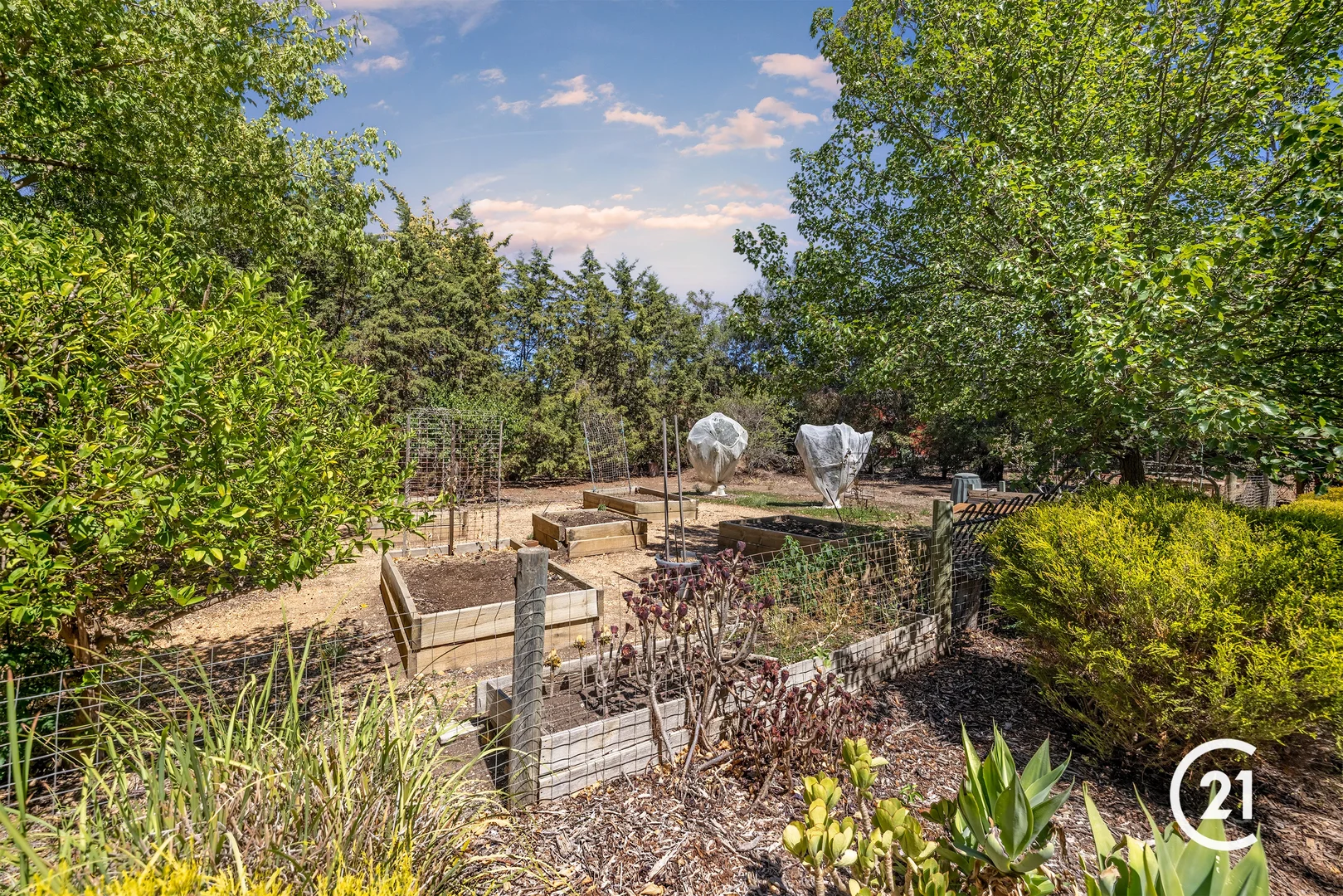Additional image 19 of 19 Baldwin Court, Echuca VIC 3564