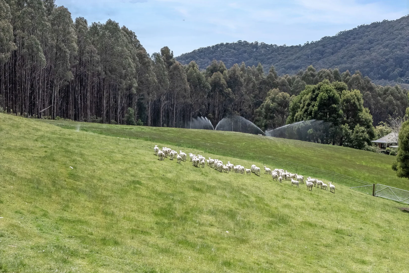Additional image 23 of 98 Settlement Road, Flowery Gully TAS 7270