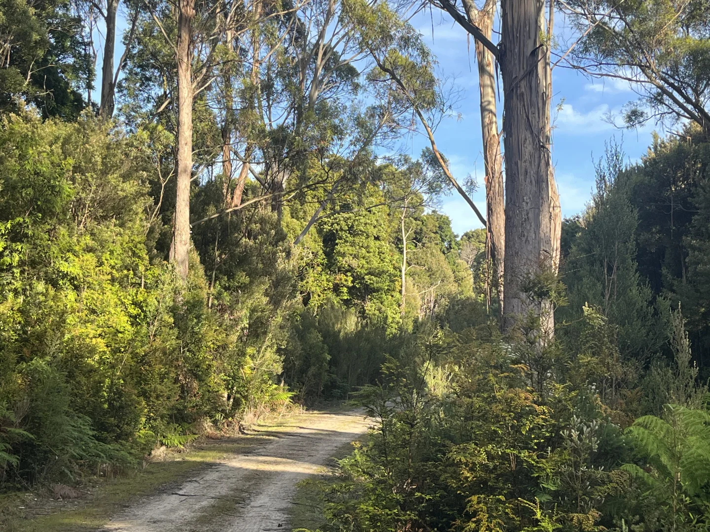 Additional image 4 of . Wilsons Road, Granville Harbour TAS 7469