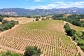 Additional image 8 of 25845 Dutcher Creek Rd, Cloverdale, CA, 95425