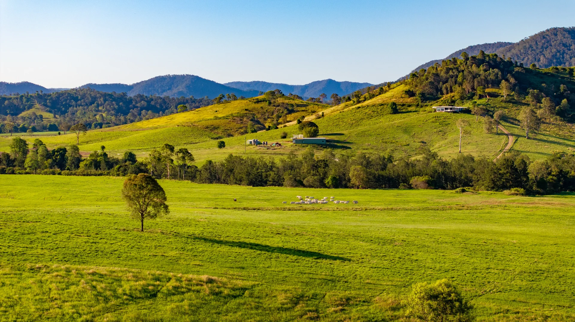 Additional image 33 of 1890 Maleny - Kenilworth Road, Conondale QLD 4552