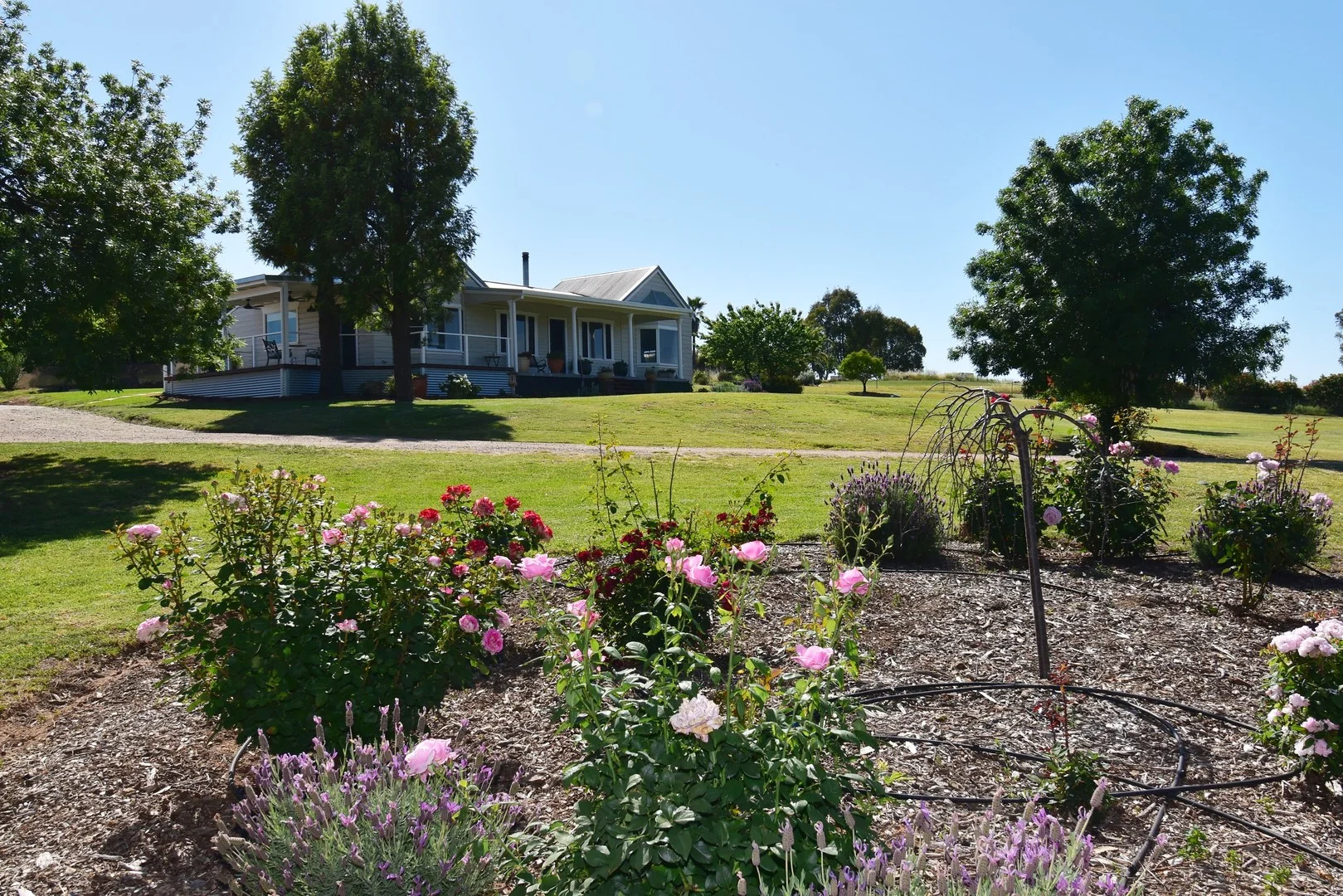 7 Pindari Grove Montefiores via, Wellington NSW 2820