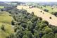 Quarrybeck Wood, Brampton, Cumbria, CA8