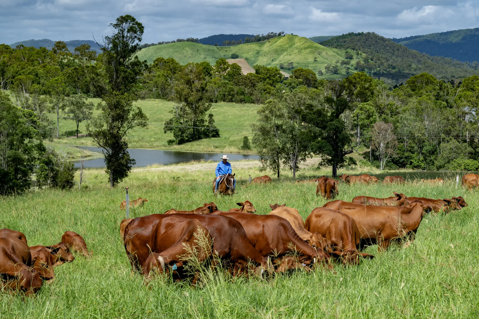 273 Mooloo Road, Mooloo QLD 4570 photo 2