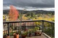 Additional image 41 of 118 Merion Ter, Moraga, CA, 94556