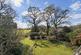 Additional image 21 of Wimborne