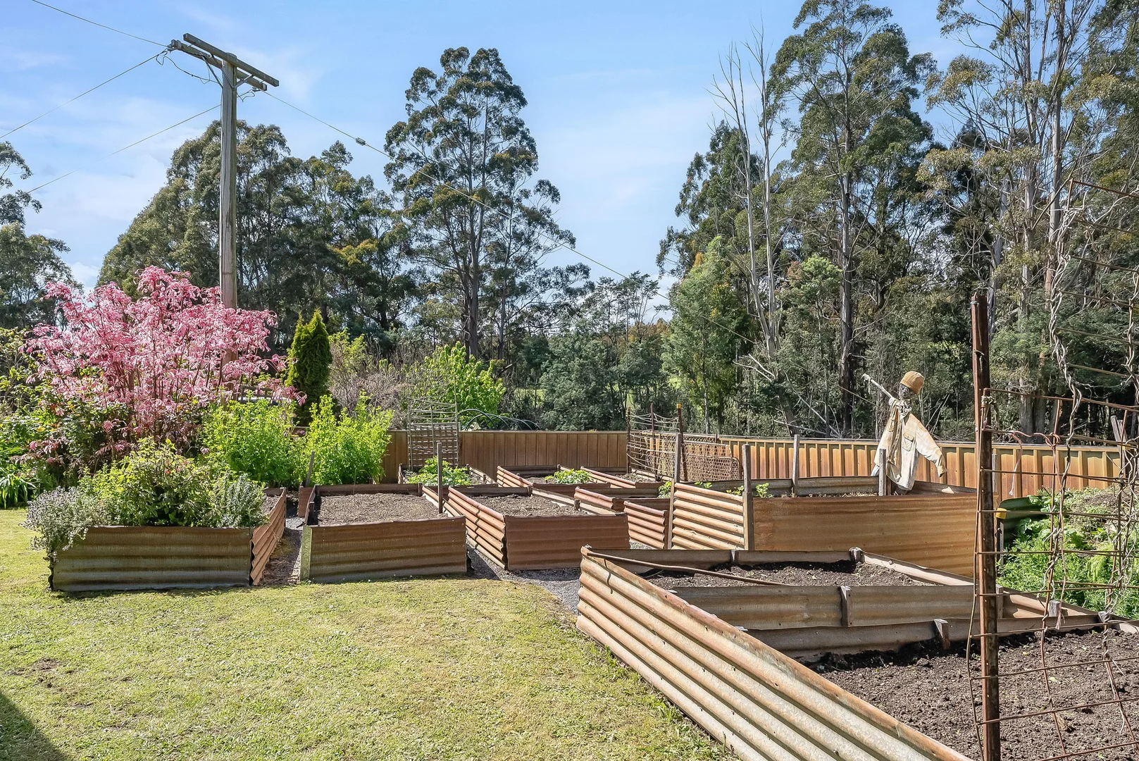 Additional image 16 of 98 Settlement Road, Flowery Gully TAS 7270