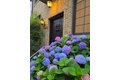 Additional image 25 of 39-12 215th Pl, Bayside, NY, 11361