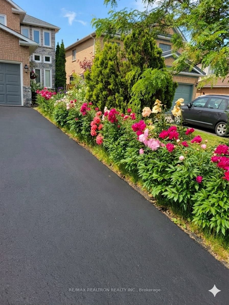 Additional image 3 of 114 Widdifield Avenue, Newmarket, ON, L3X 1Z3