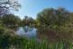 Additional image 20 of Pyworthy, Holsworthy, EX22