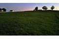 Additional image 32 of 6323 E Appaloosa Ave, Clovis, CA, 93619