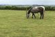 Additional image 43 of Gammaton, Bideford