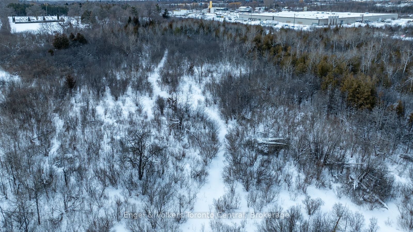 Additional image 5 of 401 Raglan Street, Collingwood, ON, L9Y 5P9